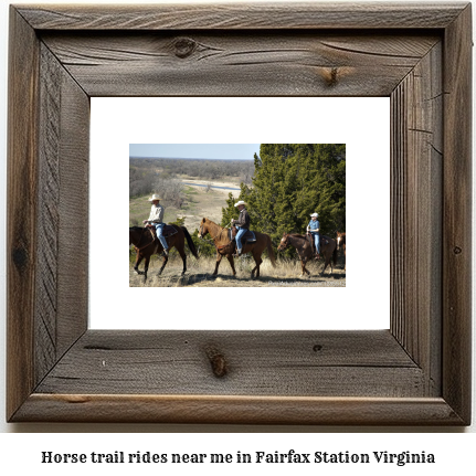 horse trail rides near me in Fairfax Station, Virginia